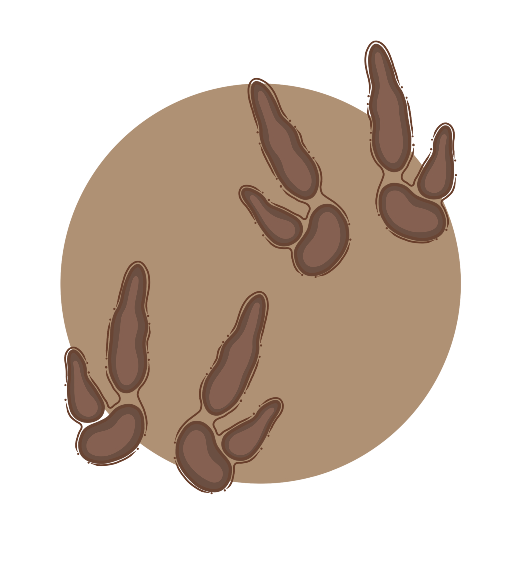 Limited Edition Prints